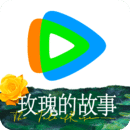 红色妖姬